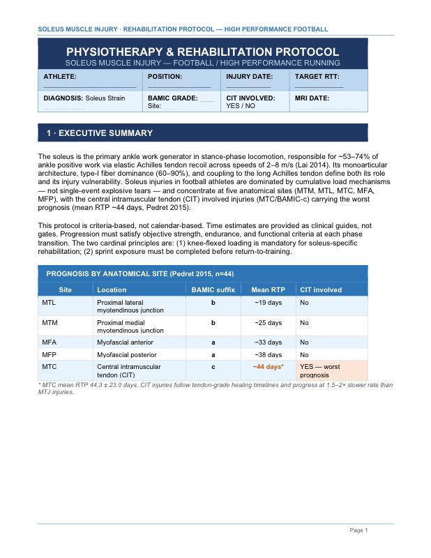 Soleus Muscle Injury Rehabilitation Protocol cover